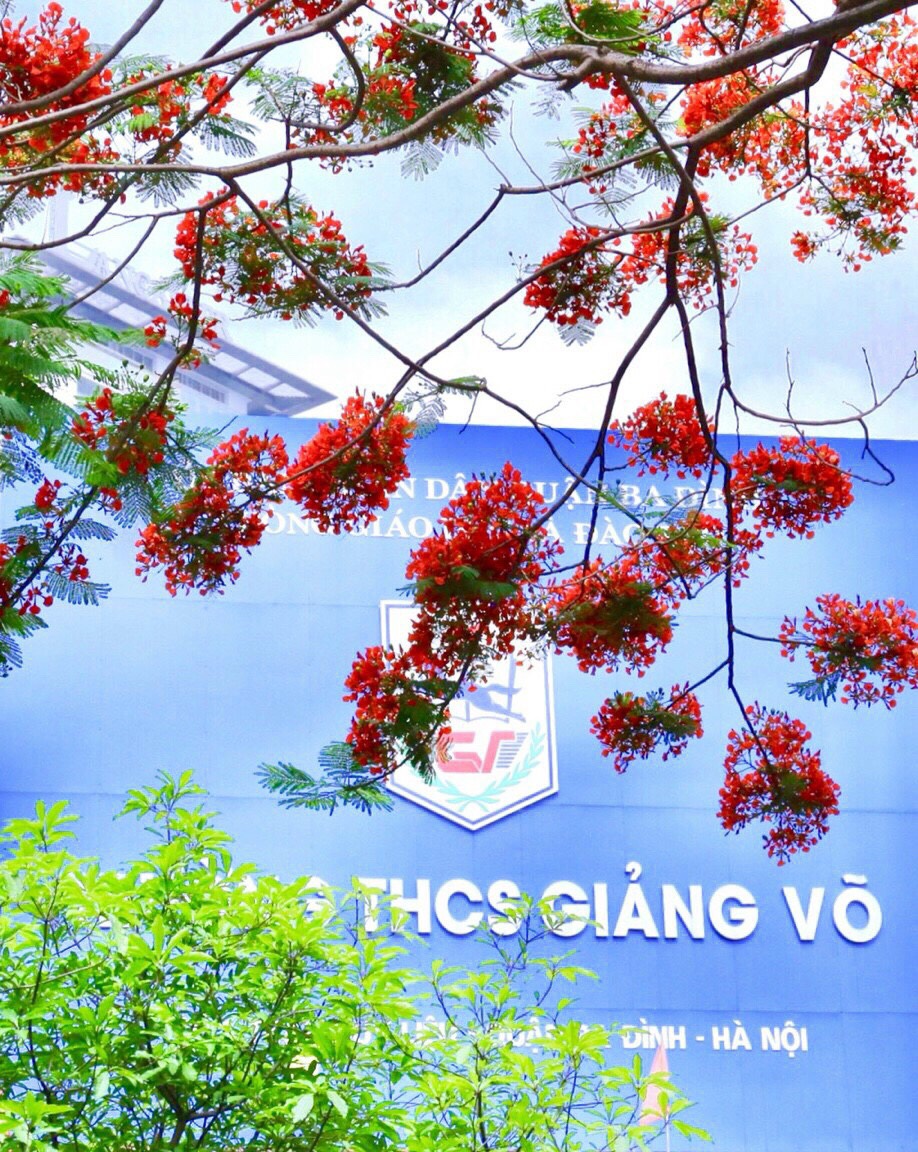 Kết quả Kỳ thi Học sinh giỏi lớp 9 của học sinh trường THCS Giảng Võ – Không phụ lòng tin... yêu…