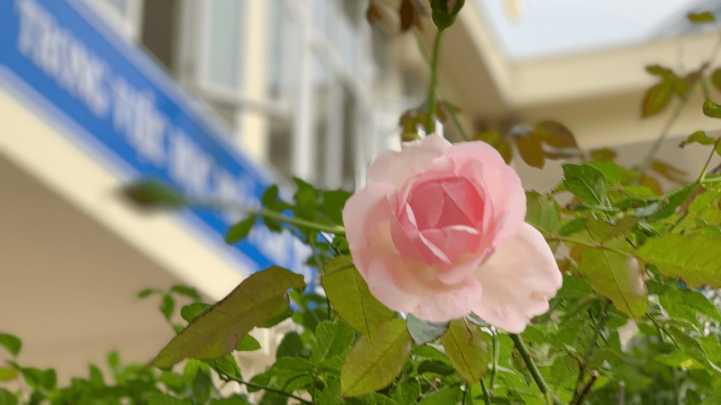 Công đoàn trường THCS Giảng Võ – những yêu thương đong đầy