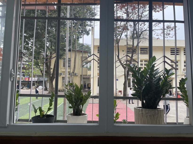 A window with potted plantsDescription automatically generated with low confidence