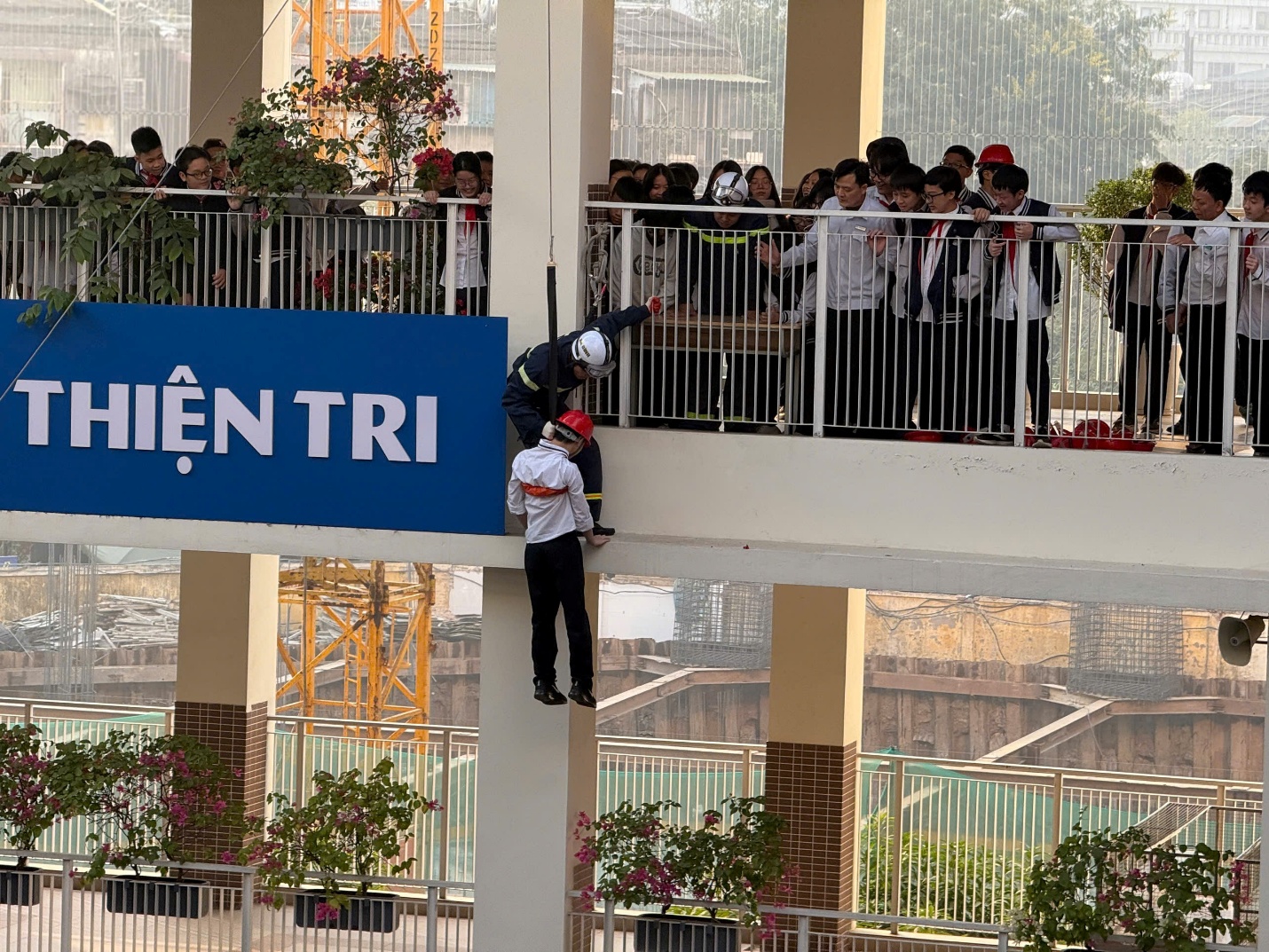 D:\Du lieu C\Downloads\ảnh đu dây 2.jpg