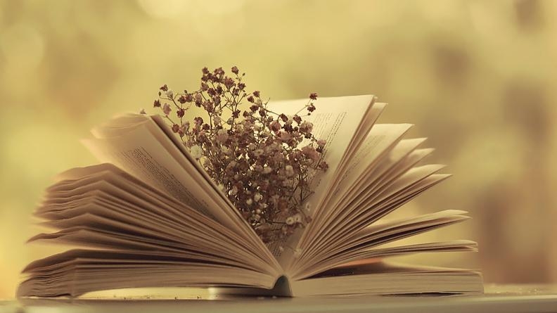 Đề khảo sát lần 3 môn Ngữ văn quận Hà Đông