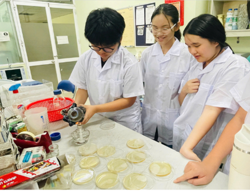 E:\TL CỦA YẾN\TRUYỀN THÔNG\CÁC BÀI VIẾT\BÀI VIẾT THÁNG 7-2025\Thi Wico_Yến\Picture4.png